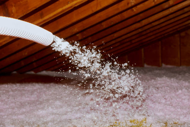 Best Insulation Contractors for Homes  in Avonia, PA