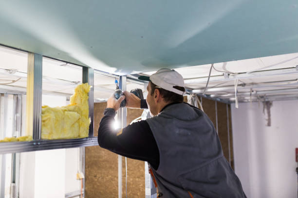 Best Insulation Installation Cost  in Avonia, PA