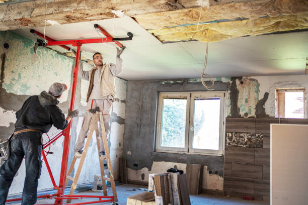 Best Professional Insulation Contractor  in Avonia, PA
