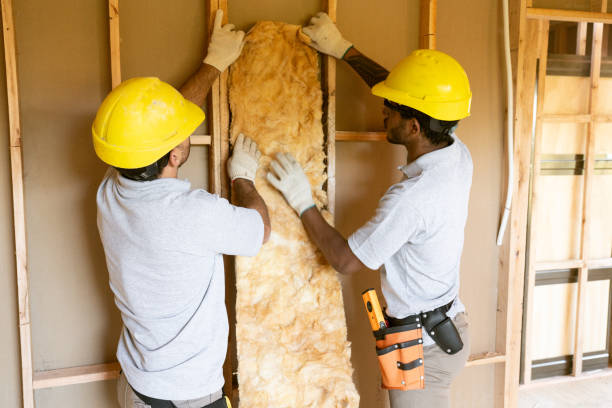 Best Crawl Space Insulation  in Avonia, PA