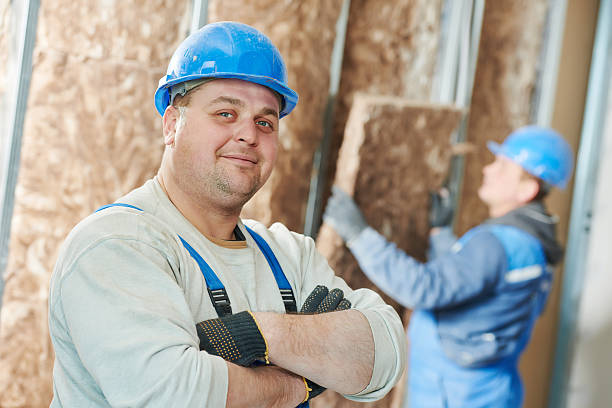 Best Local Insulation Services  in Avonia, PA