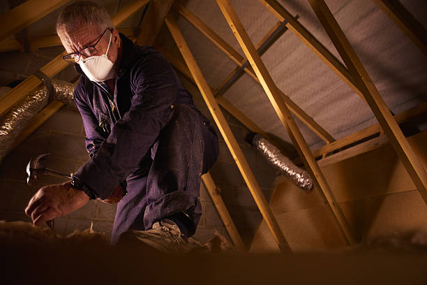 Best Insulation Inspection Services  in Avonia, PA