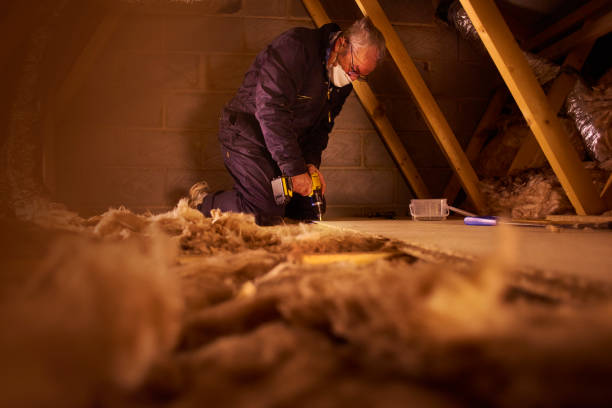 Insulation Repair Services in Avonia, PA